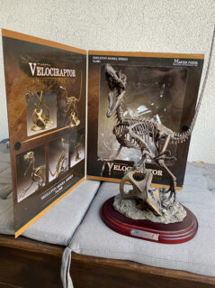 Velociraptor - Skeleton Model Series No.001 Master Fossil - Griffon Enterprises Inc.